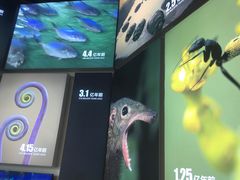 -南京科技馆