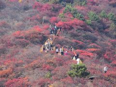 -水峪民俗村