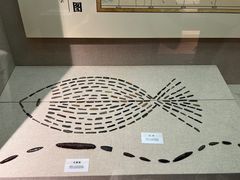 -巴音郭楞蒙古自治州博物馆