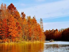 -上海海湾国家森林公园