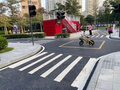 -景田北六街公园宠物主题园