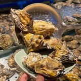 在北京！只要不倒闭愿意一直去吃的店……
