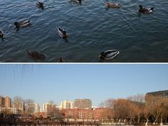 -中国农业博物馆