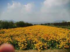 -君乐宝优致牧场