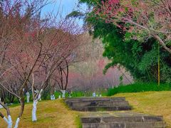 -重庆中央公园(渝北区)