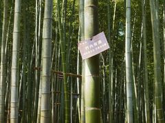 -陶祖圣境风景区