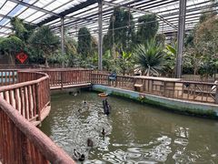 -呀路古热带植物园