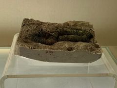 -旅顺博物馆