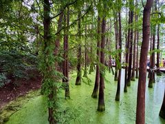 -云龙湖旅游景区