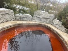 -大连金石滩绿发温泉假日酒店