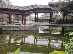 -顺峰山公园