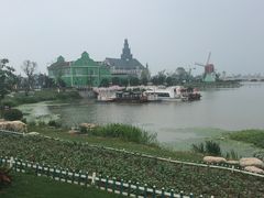 -荷兰花海