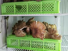 -山菌美食苑(振兴路店)