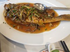 红烧黄花鱼-稻香酒家(天河城店)