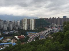 -金鸡山公园