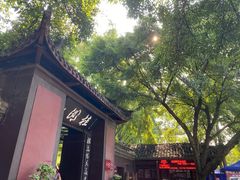-桂湖森林公园