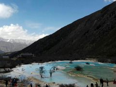 -黄龙山原始森林景区