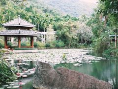 -亚龙湾热带天堂森林公园