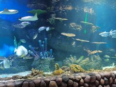 -华夏文旅海洋公园