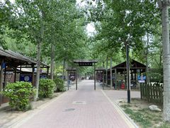-杨柳青庄园