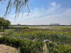 -天津东丽湖风景区