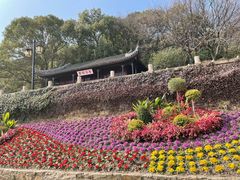-苏州上方山国家森林公园