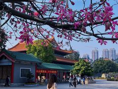 -广东圆玄道观