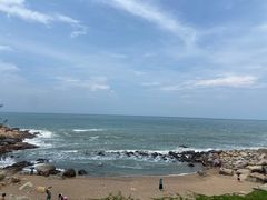-广东惠东海龟国家级自然保护区