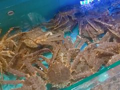 -阿伟海鲜楼·福建菜(延寿店)