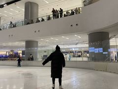 -TheRink大零溜冰场(IFS国金中心店)
