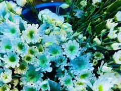 -循礼门鲜花花市(武汉循礼门店)