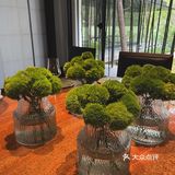 紫金山下｜江山秋色平🍂遇见民国红公馆·紫金山院