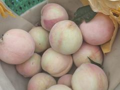 -老袁家蜜桃农场·阳山水蜜桃