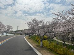 -羊山湖公园