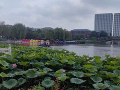 -西海子公园