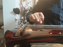 -诗宇时光茶艺书法古琴培训