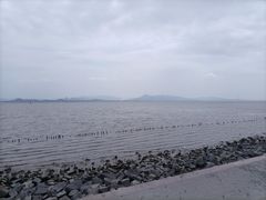 -深圳湾公园(南山区)