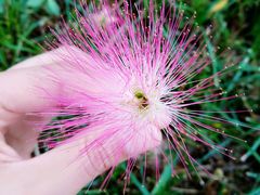 -安庆师范大学(龙山校区)
