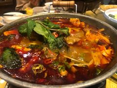 -福照楼汽锅鸡·云南菜(护国路店)