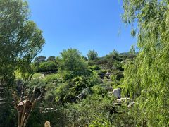 -北京西山国家森林公园