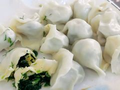鸡蛋茴香饺子-老回回饺子馆(海洋馆店)