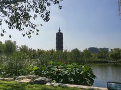 -西海子公园