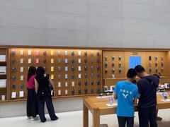 -Apple零售店(苏州店)