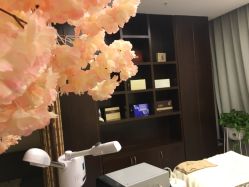 -至臻康妍健康管理中心