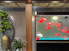 -臻享养生·SPA·影院式足道(汇臻店)