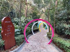 -天目湖涵田半山温泉