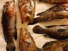 -小猫钓鱼海钓俱乐部(椰梦长廊店)