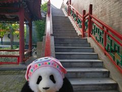 -莲池书院博物馆