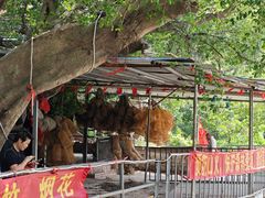 -百里鲜(羚羊峡古栈道森林公园店)