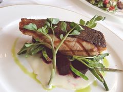-Cova Ristorante & Caffe(海港城店)